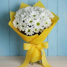 Букет цветов из:  Хризантемы в Мезени