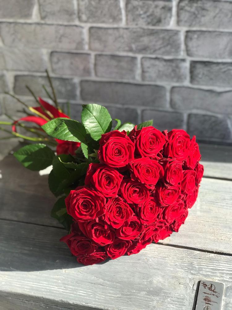 Букет Красные розы Фридом в Мезени