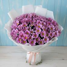 Букет цветов из:  Хризантемы в Мезени