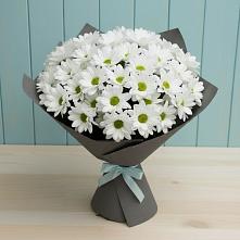 Букет цветов из:  Хризантемы #REPLACE_PRED# Мезени