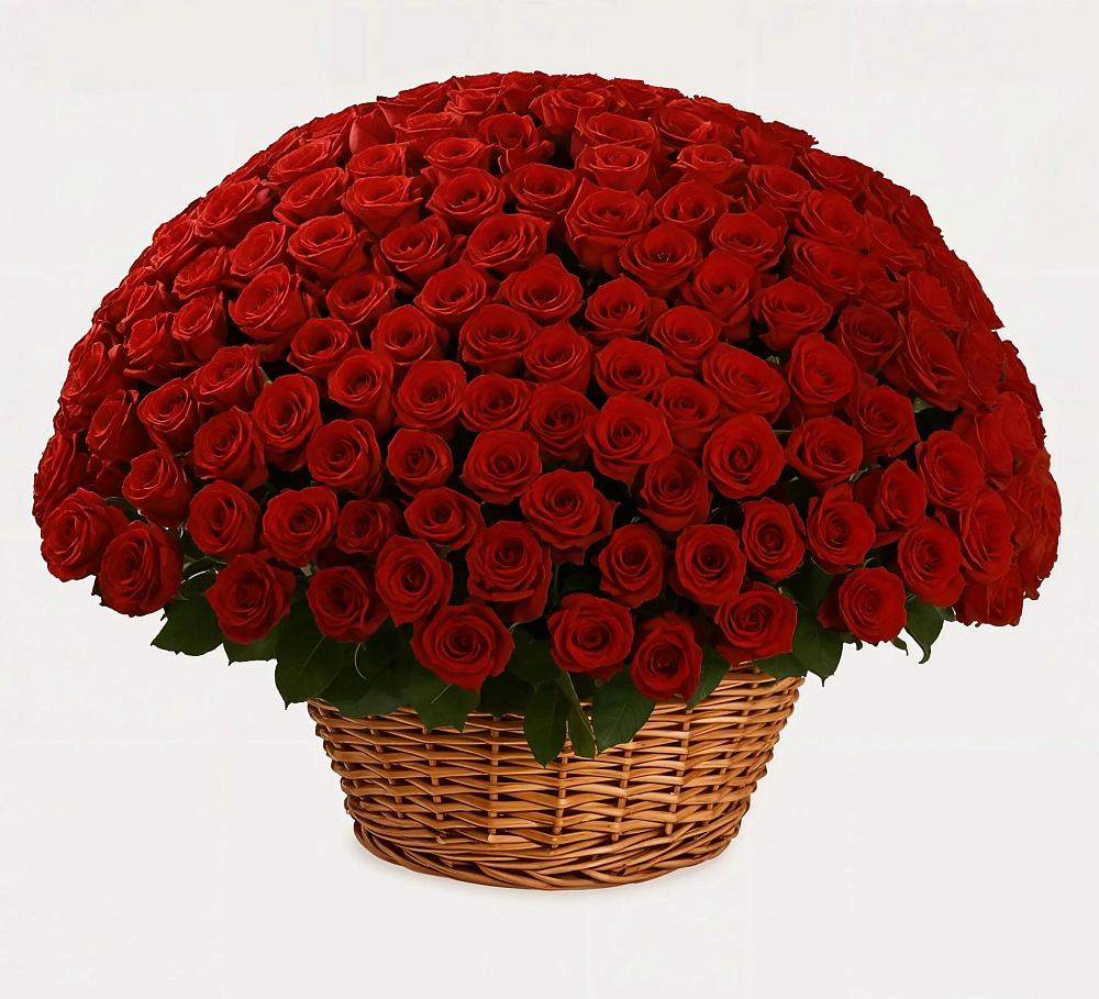 Премиум букет из: Розы в Мезени