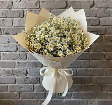 Букет цветов из:  Ромашки в Мезени