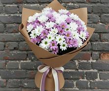 Букет цветов из:  Хризантемы в Мезени