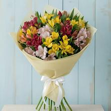 Букет цветов из:  Альстромерии в Мезени