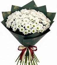 Букет цветов из:  Хризантемы #REPLACE_PRED# Мезени