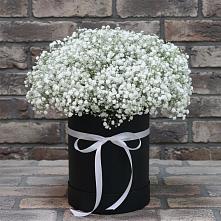 Цветочная композиция из Гипсофила в шляпной коробке в Мезени