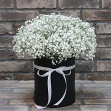 Цветочная композиция из Гипсофила в шляпной коробке в Мезени