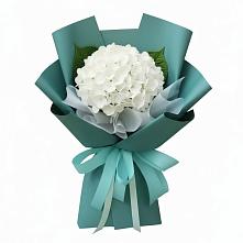 Букет цветов из:  Гортензия в Мезени